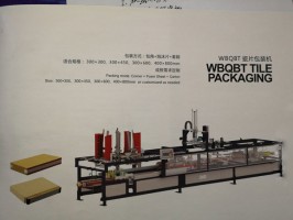 福建瓷片包裝機(jī)